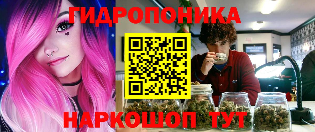 Бошки марихуана планчик  Конопля индика  Батайск  Каннабис тримм  Вход с VPN 